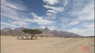 DESERT AND CAMELS TIMELAPSE VIDEO - COL VE DEVELER
