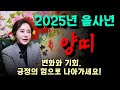 2025년 을사년 양띠 운세 총정리 용군TV 설화궁주 임설화 2025년 을사년 양띠 운세 총정리 용군TV 설화궁주 임설화