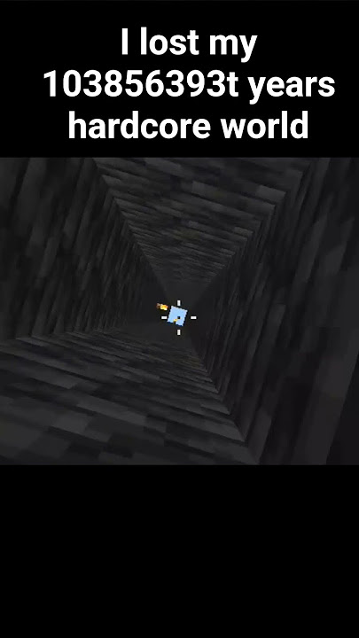 I lost my 103856393t years of hardcore world
