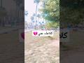 ولا بفتكرك رامي جمال كلامك عني   ترند    