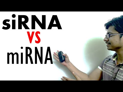 siRNA در مقابل miRNA | تفاوت میرنا و سیرنا