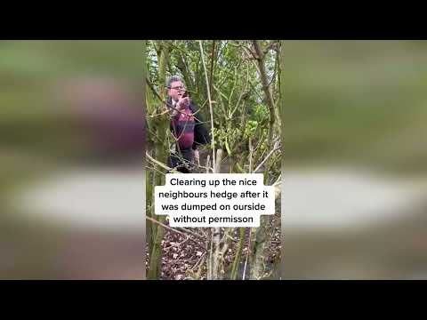 Video shows farmers' foul-mouthed argument with neighbour over hedge