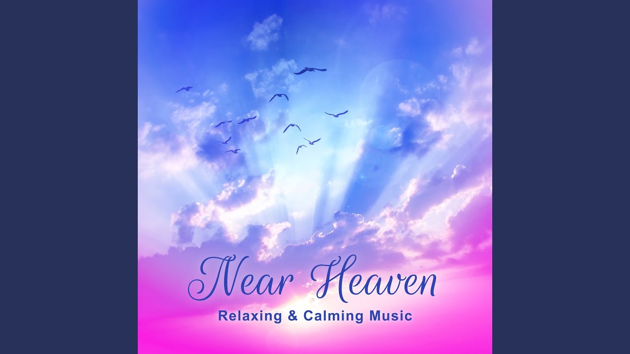 Watch Magic Forest Sounds to Unwind Stress on YouTube Watch Magic Forest Sounds to Unwind Stress on YouTube