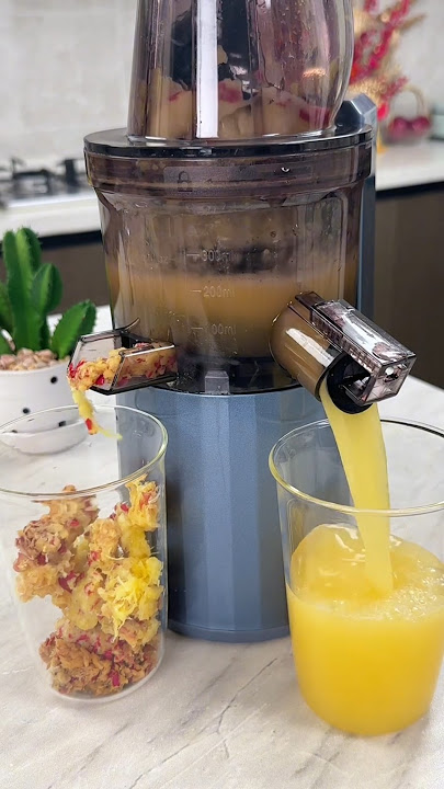 Alat pembuat jus buah