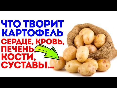 Лучше На Рынок, Чем В Аптеку! Смотрите, Как Изменится Тело, После Употребления Картофеля...