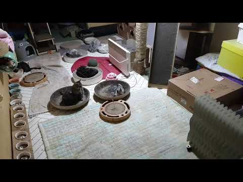 Gray CAT  /  그레이캣