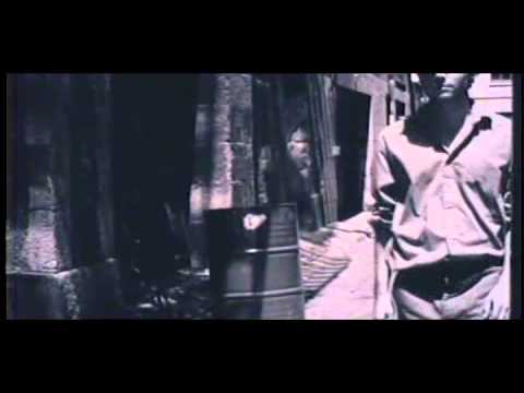 風 ფართო 손실에 去年