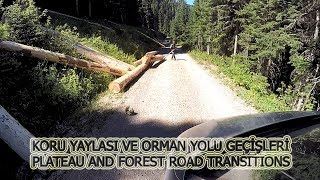 Taşköprü Çatalzeytin Koru Yaylası Geçişleri - Transitions