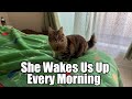 She wakes us up every morning