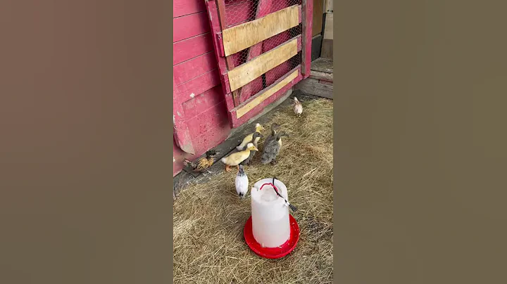 outside time