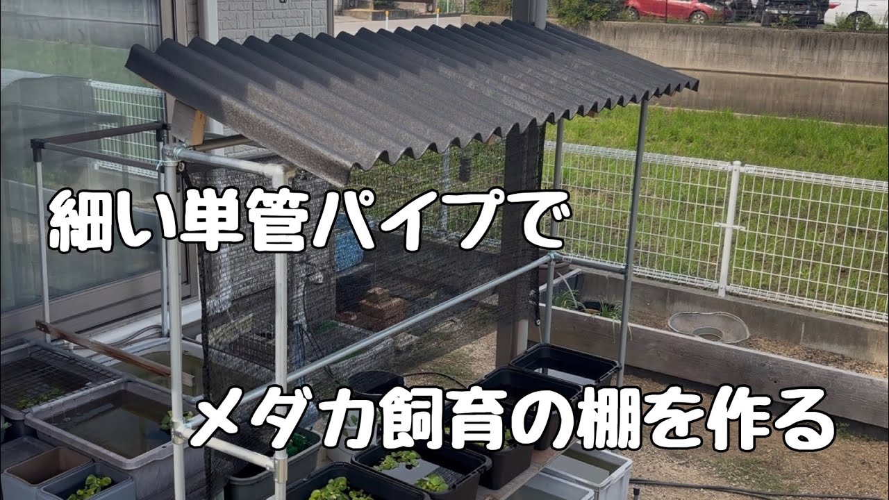 細い単管パイプでメダカ飼育の棚を作る - YouTube