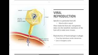 Ch. 17 - Viruses & Bacteria - Part 1