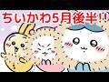 【ちいかわ】ちいかわ最新情報5月後半まとめ!!(ダイソーやKOSE、マクドナルドコラボなど盛りだくさん!!)