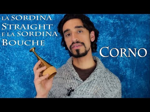 Video: Qual è il suono di un corno?