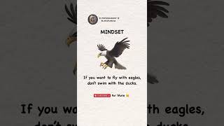 😎🦅 #mindset #focus #success #growth #loyalty #strong #build #mind #top #new #shortfeed #best #fly