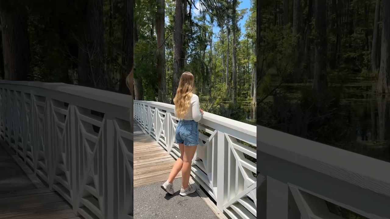 Pov: you visit The Cypress Gardens where The Notebook was filmed🌳