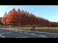 【4K】竹生島～マキノ Chikubushima Island - Makino