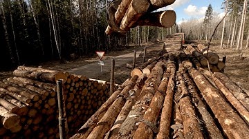 Forwarding Some Spruce Standing Dry With JD 1010G 4K