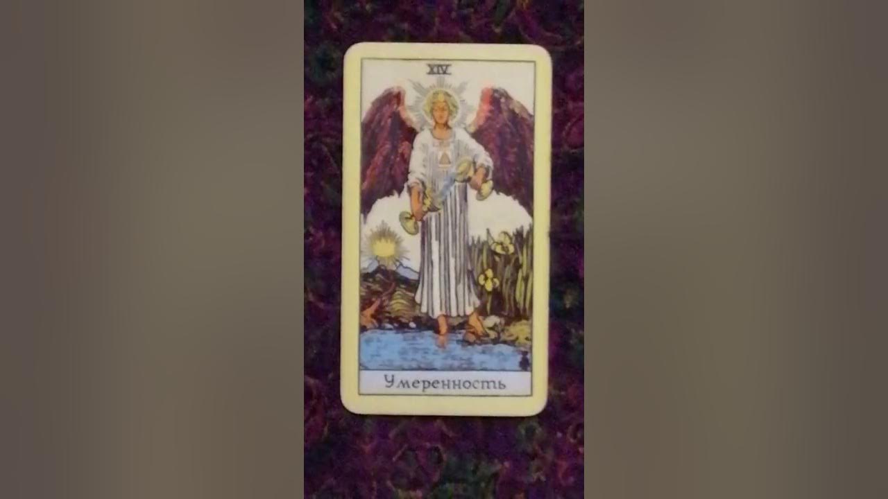 14 аркан на 2024 год