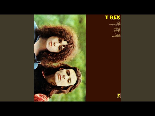 T. Rex - Diamond Meadows