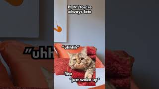 RELATE😹 always late #catmemes #catshorts #relatable #friends #struggles
