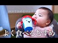 ずっと見てられる0歳児のいつもの食事【生後8ヶ月】