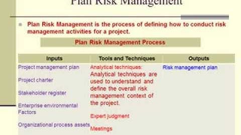 El Antary Project Risk Management L1