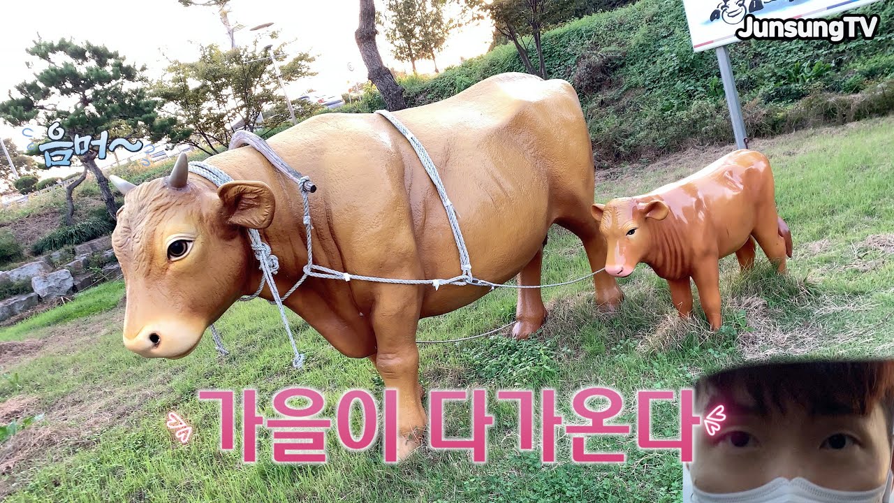 갑자기 가을이 다가온다 | 유준성 Vlog