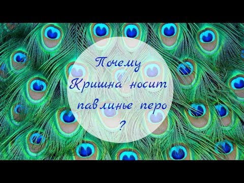 ПОЧЕМУ КРИШНА НОСИТ ПАВЛИНЬЕ ПЕРО?