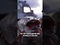 🐟❄️ Особенности рыбалки в конце октября