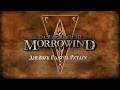 The Elder Scrolls III: Morrowind ,, Дневник Галура Ритари ,, . Аудиокнига 📙🎧