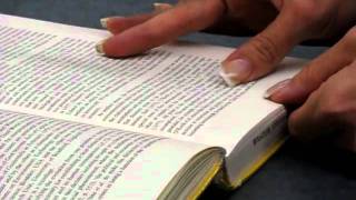 Page Tear Repair