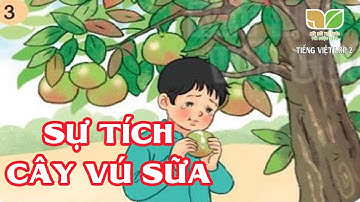 Kể chuyện: SỰ TÍCH CÂY VÚ SỮA | Tuần 15 Tiếng Việt Lớp 2 | Bộ Kết nối tri thức với cuộc sống