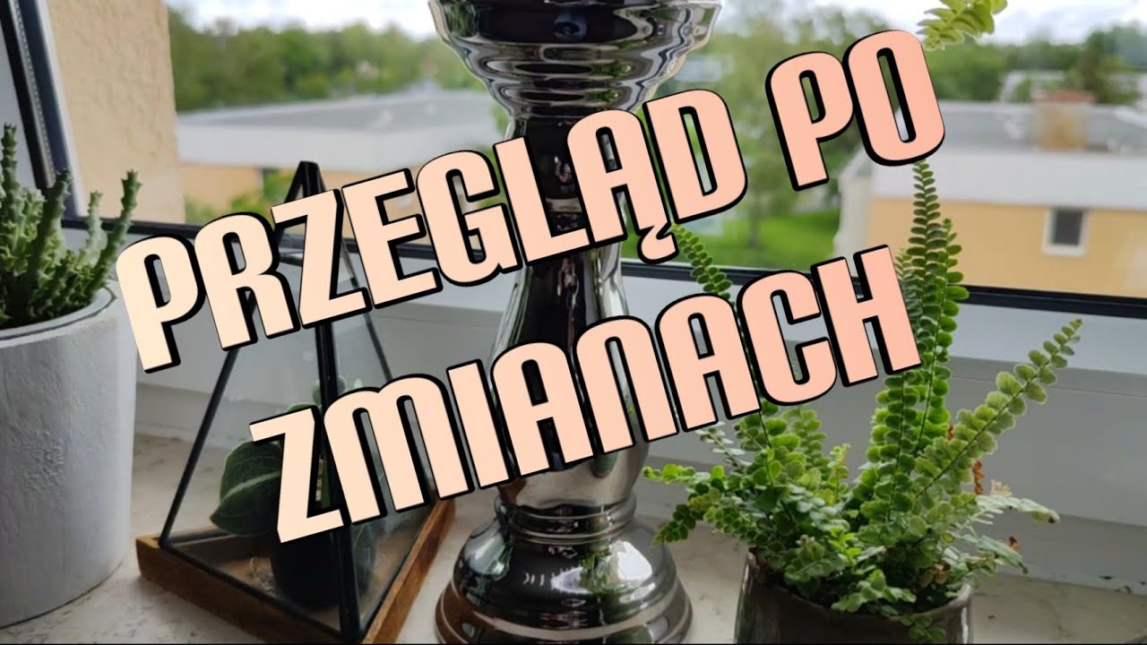 Krótki przegląd🌿czyste listki🌿piękne paprotki