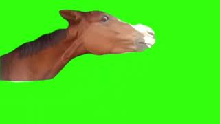Techno Horse Dancing Meme Green Screen