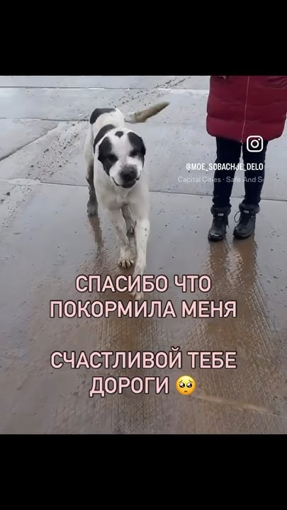 История ТАРХАНА 🥹 - YouTube