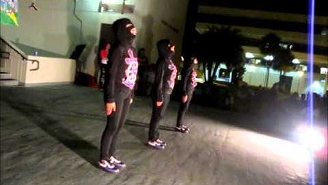 Sigma Lambda Gamma - Fearless Phi Gamma Chapter - SPRING 2010 Probate (4/5)