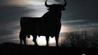 Video thumbnail of "El toro enamorado de  la luna  Los fabulosos cadilacs"