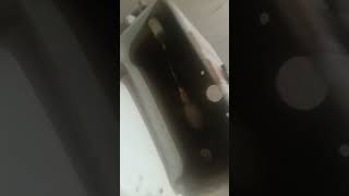 ‎ 🧑‍🔧  commode flush tank repair!commode flush kit replacement!#toilet #commode #shorts #plumber #