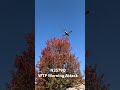 N3579Q WoW! WTF Morning Rocket Attack Douglas Schwartz Plymouth MI #aerialstalker #aviation #flying