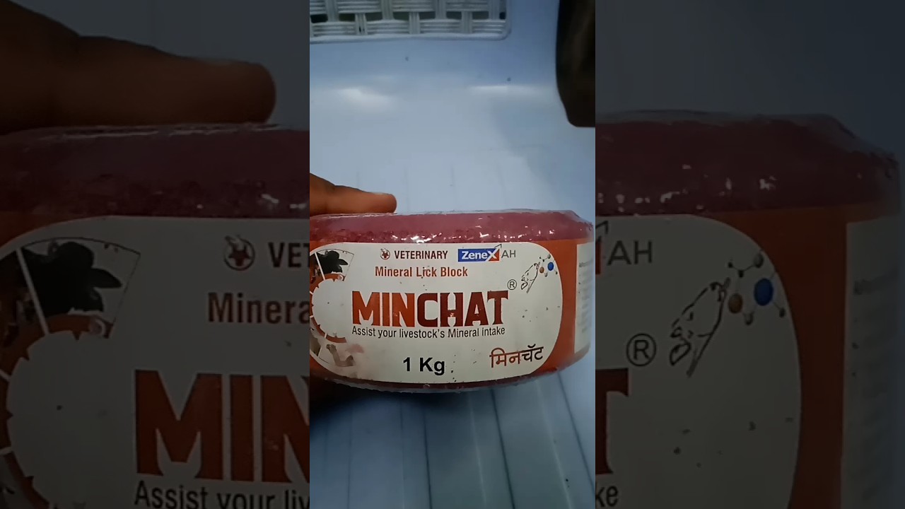 #Minchat