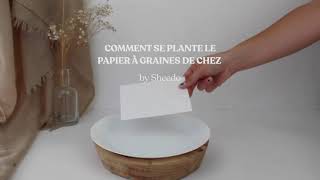 Papier graines Végétol® Phyto à planter