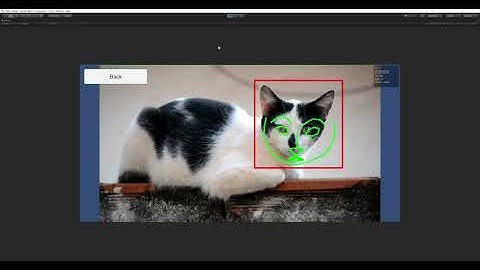 CatFaceTrackingFromVideo