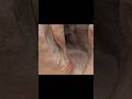 #trending #india #shorts