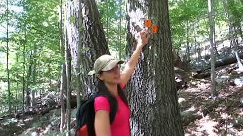How To Read A Trail Marker