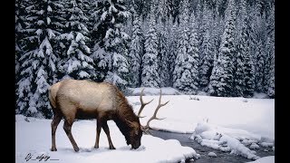 Dj_adysy  - Colinda Craciunului (remix)