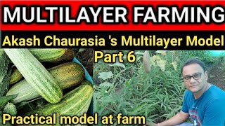 MULTILAYER FARMING | PART 6 | AKASH CHAURASIA 'S MULTI LAYER MODEL | PRACTICAL MODEL AT FARM |