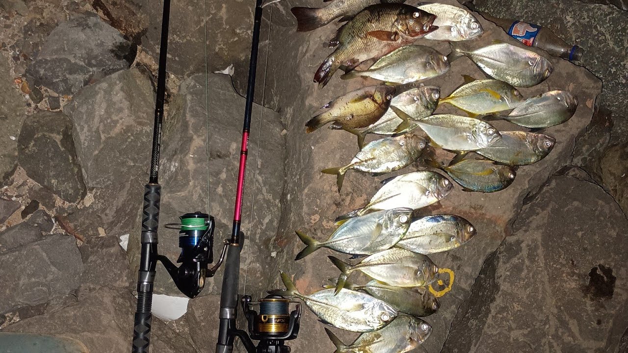 Ratnagiri fishing 🎣. Ful dhamal and masti 🤟