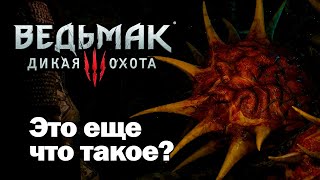 Шепчущий холм. Ведьмак 3 прохождение (часть 11)