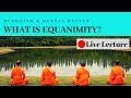 What is Equanimity and How Do You Cultivate It? Buddhism & Mental Health (Live Lecture)